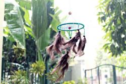 CÁNH CỬA CÓ DREAMCATCHER