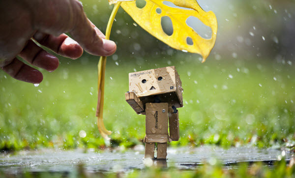 danbo gỗ, danbo giá rẻ, danbo đẹp, danbo