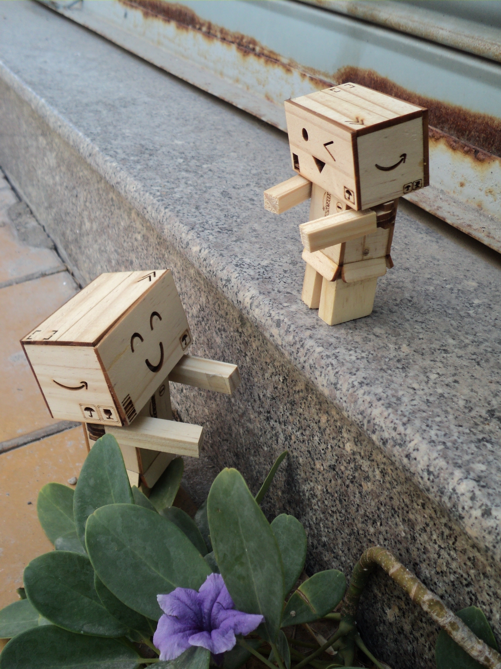 Danbo cha và con