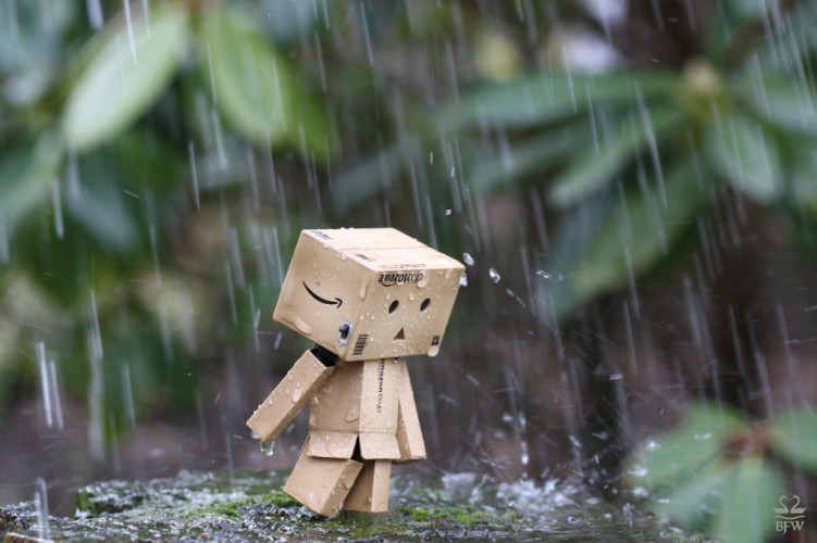 danbo gỗ, danbo giá rẻ, danbo đẹp, danbo