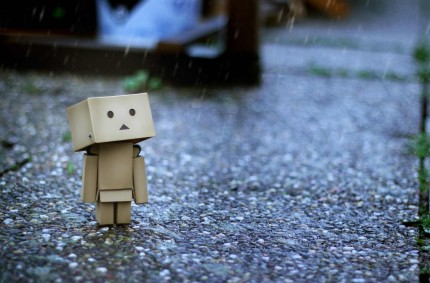 danbo gỗ, danbo giá rẻ, danbo đẹp, danbo