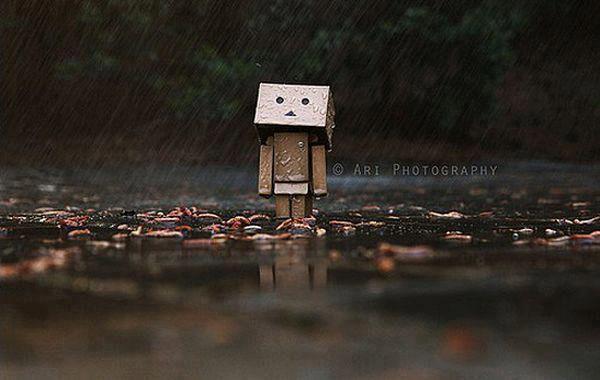 danbo gỗ, danbo giá rẻ, danbo đẹp, danbo