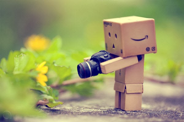 danbo gỗ, danbo giá rẻ, danbo đẹp, danbo