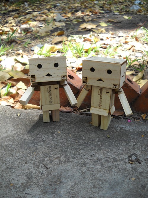 danbo gỗ, danbo giá rẻ, danbo đẹp, danbo