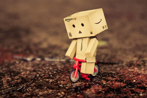 danbo, danbo gỗ, danbo dễ thương, danbo đẹp, danbo giá rẻ