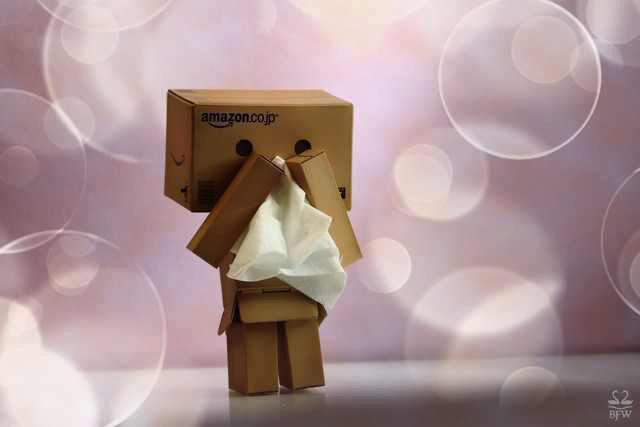 danbo gỗ, danbo giá rẻ, danbo đẹp, danbo